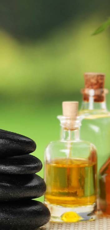 Holistic Wellness Services (Massages)