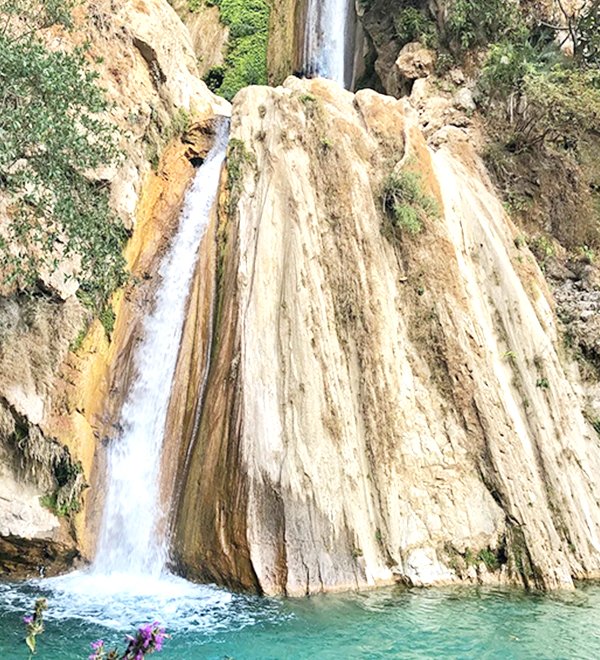 100 Hour Yin Yoga TTC-On Your Free Day